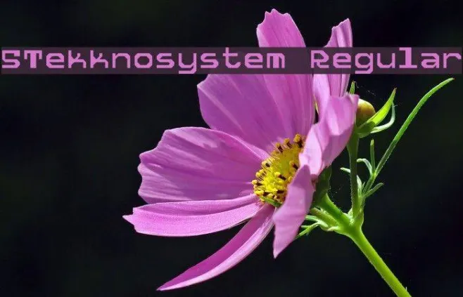 5Tekknosystem Regular Example 2