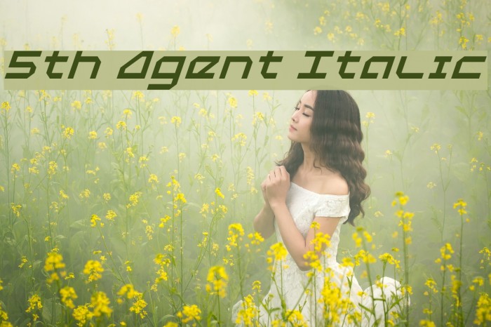 5th Agent Italic Font examples
