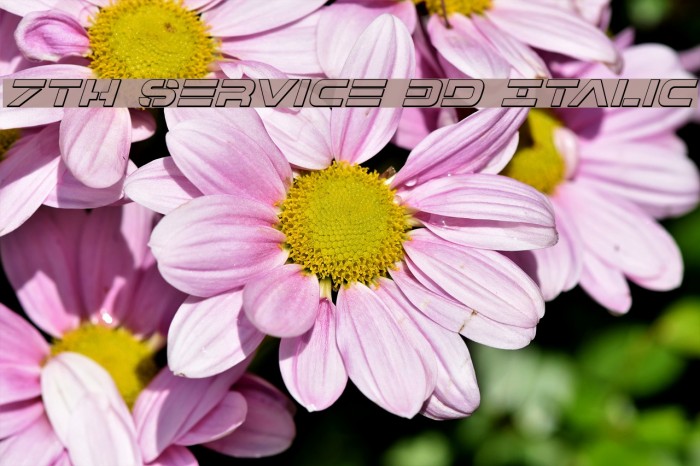 7th Service 3D Italic Шрифта examples