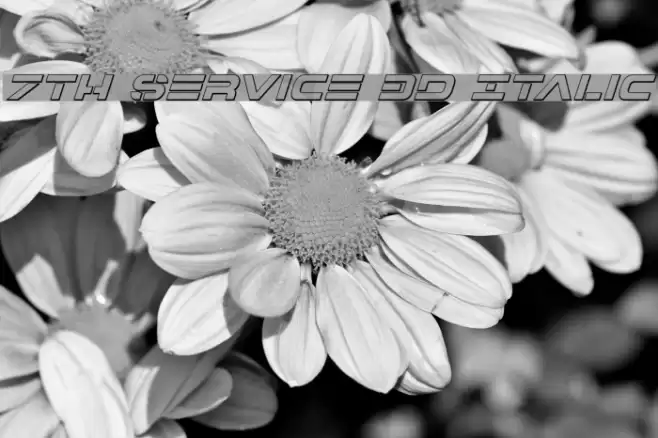 7th Service 3D Italic Font examples