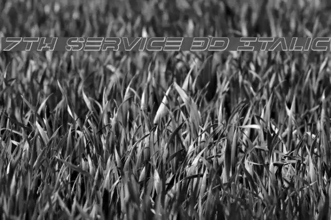 7th Service 3D Italic Font examples