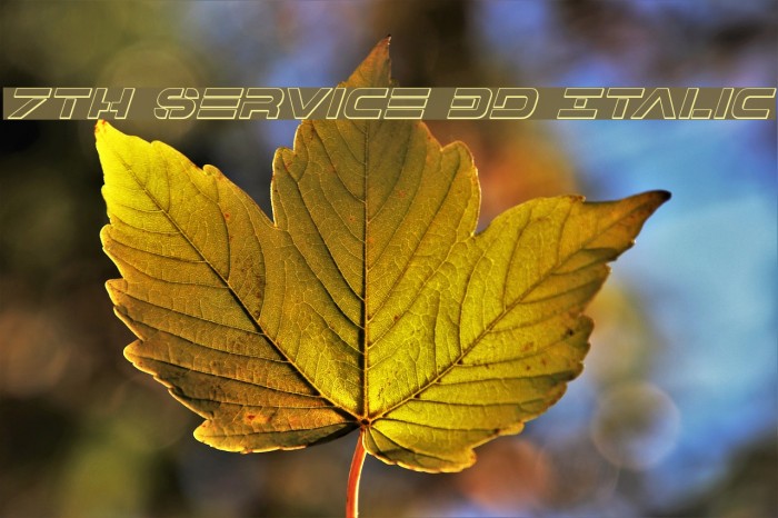 7th Service 3D Italic Шрифта examples