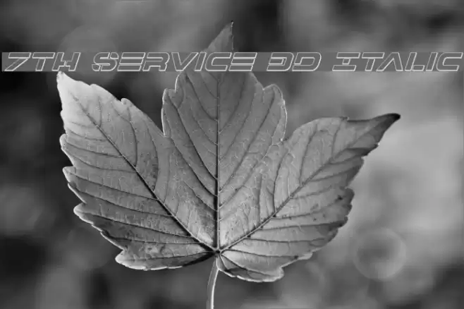 7th Service 3D Italic Font examples