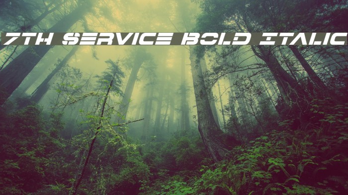7th Service Bold Italic Font examples