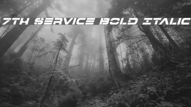 7th Service Bold Italic Font examples