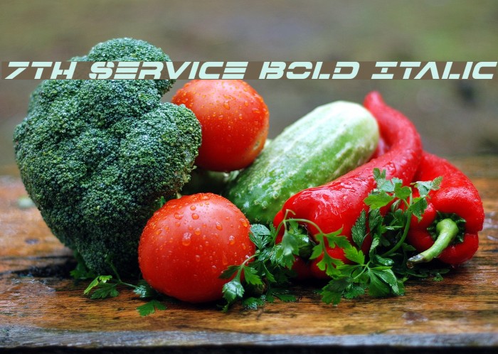 7th Service Bold Italic Font examples