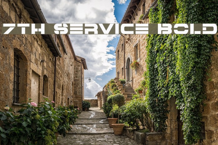 7th Service Bold Font examples