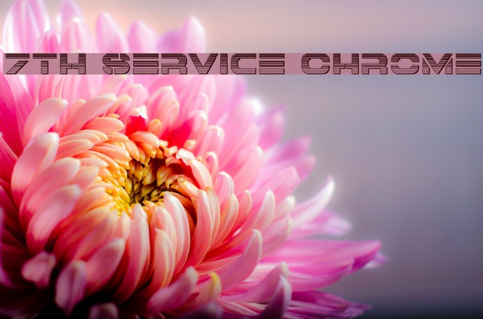 7th Service Chrome Example 2