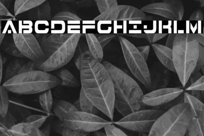 7th Service Condensed Font examples