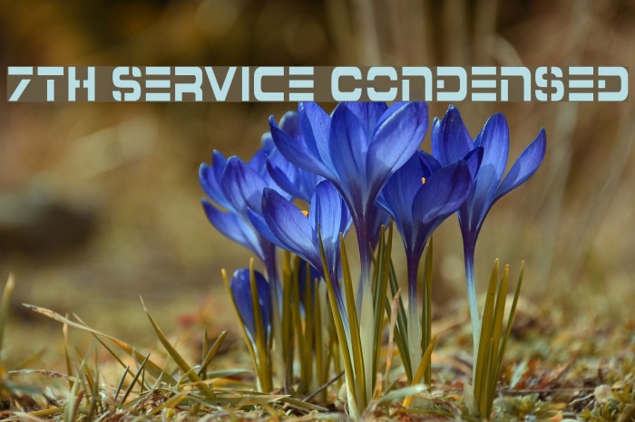 7th Service Condensed Schriftart examples