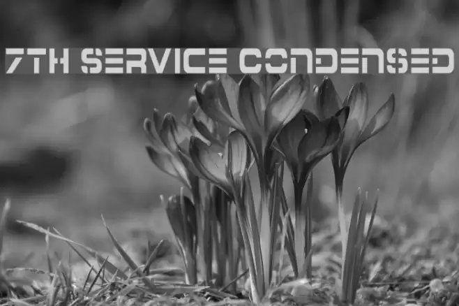 7th Service Condensed Schriftart examples