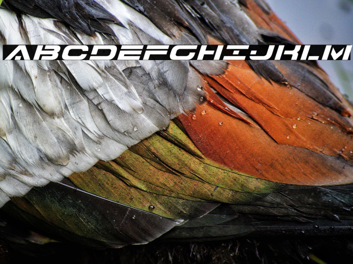 7th Service Expanded Italic Example 1