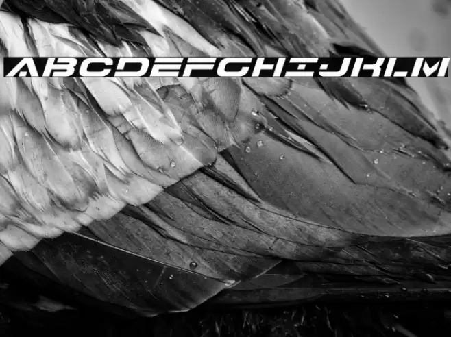 7th Service Expanded Italic Font examples