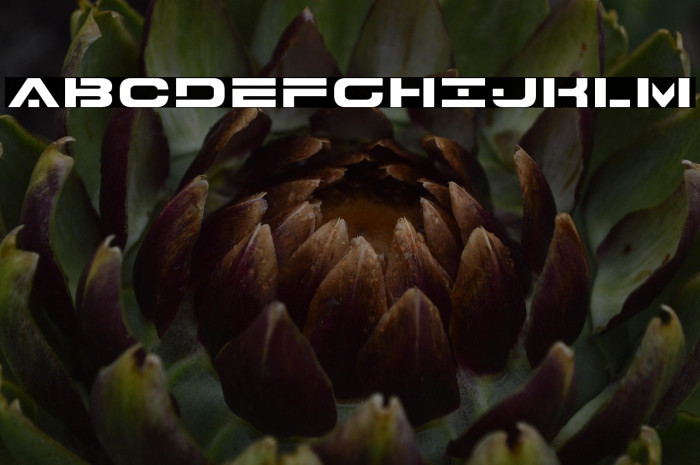 7th Service Expanded Example 3