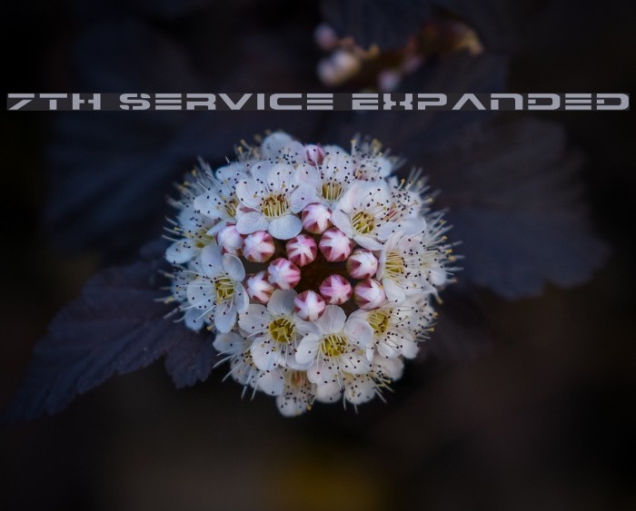 7th Service Expanded Font examples