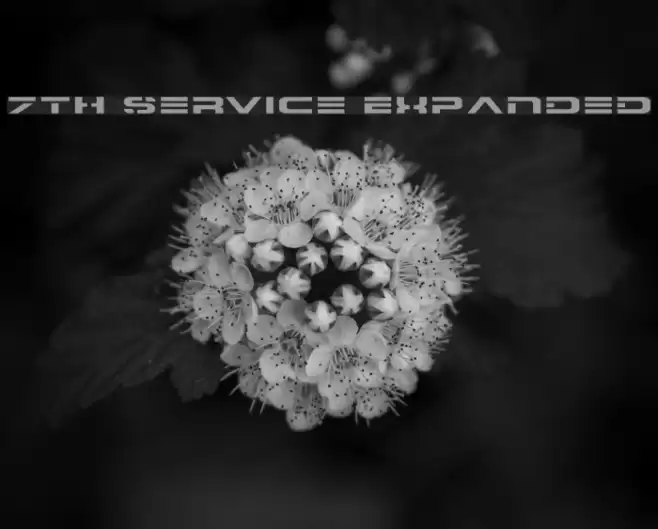 7th Service Expanded フォント examples