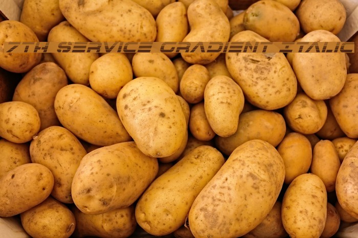 7th Service Gradient Italic Example 2