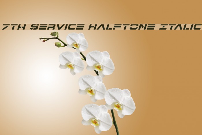 7th Service Halftone Italic Example 3