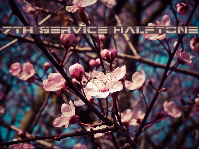 7th Service Halftone Font examples