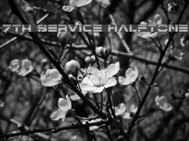 7th Service Halftone Font examples