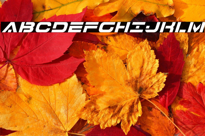 7th Service Italic Example 1