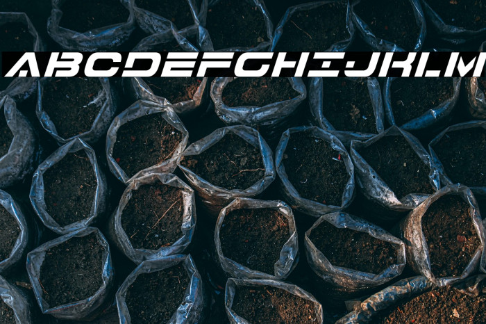 7th Service Italic Example 2