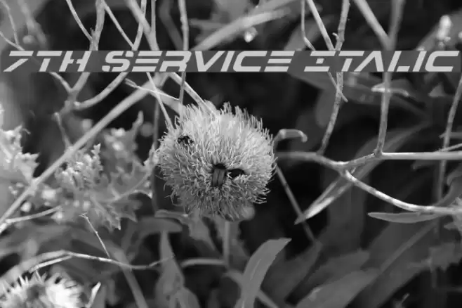 7th Service Italic Font examples