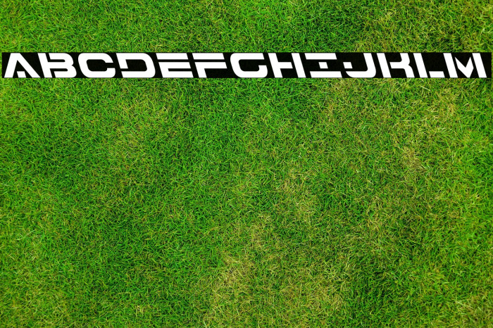 7th Service Leftalic Example 1