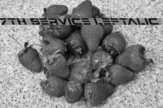 7th Service Leftalic Font examples