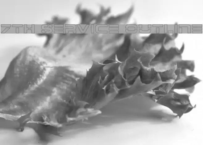 7th Service Outline Font examples