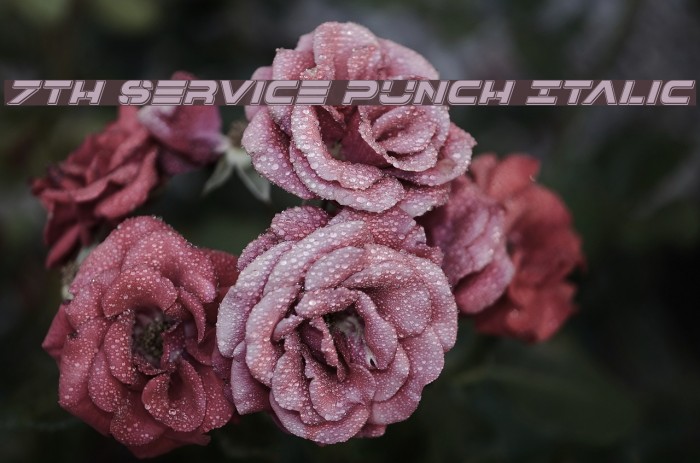 7th Service Punch Italic Font examples