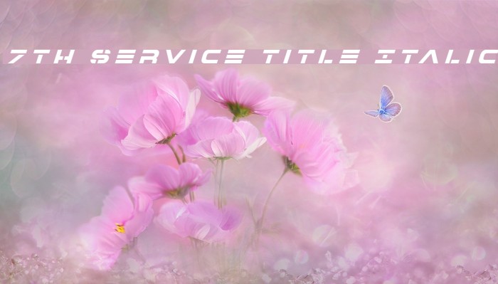 7th Service Title Italic Font examples
