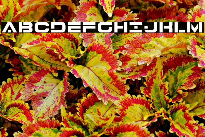 7th Service Example 3