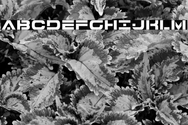 7th Service Font examples