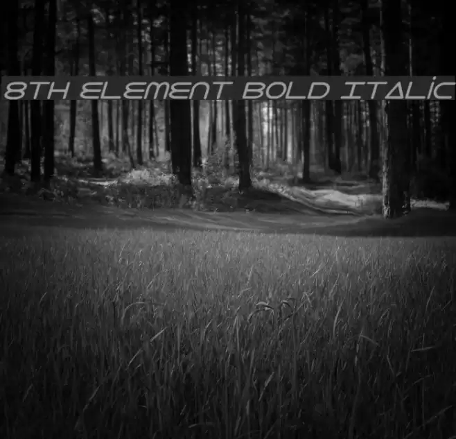 8th Element Bold Italic Font examples
