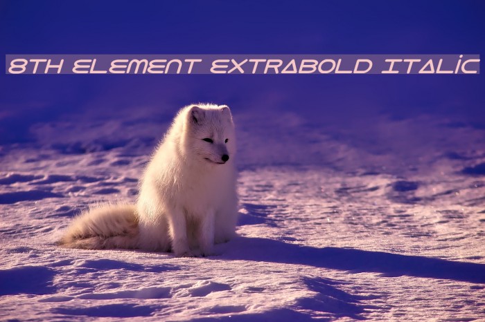 8th Element ExtraBold Italic Font examples