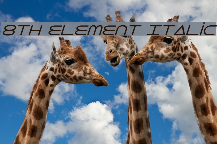 8th Element Italic Font examples