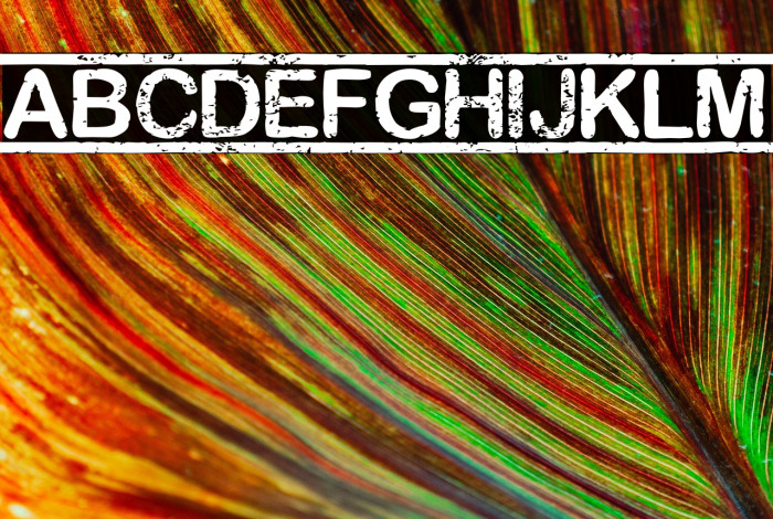 [TOP_SECRET] Example 1