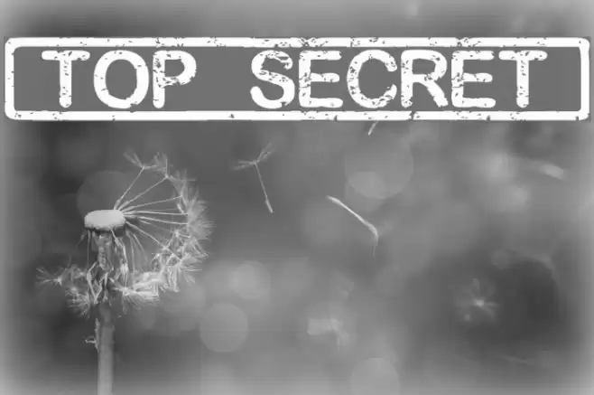 [TOP_SECRET] Font examples