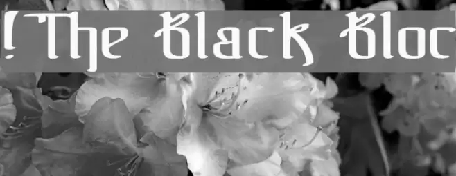 !The Black Bloc Schriftart examples