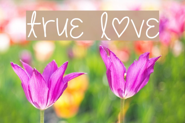 [true love] Example 1