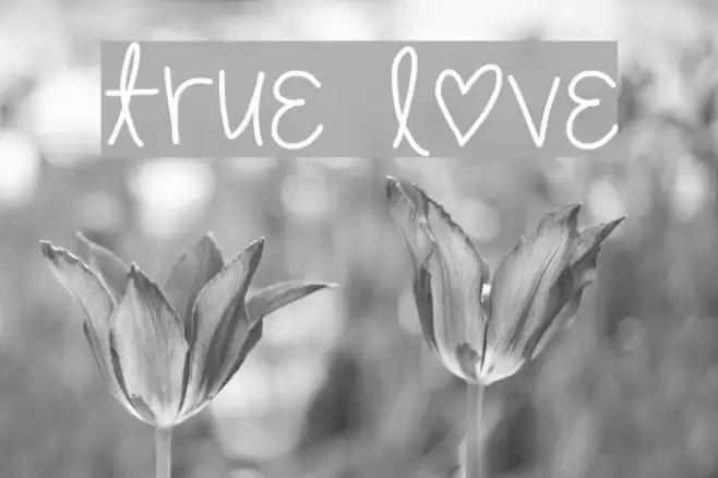 [true love] Font examples