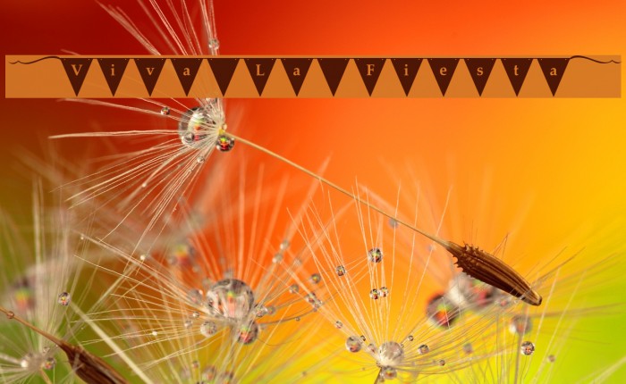 [Viva La Fiesta] Example 1