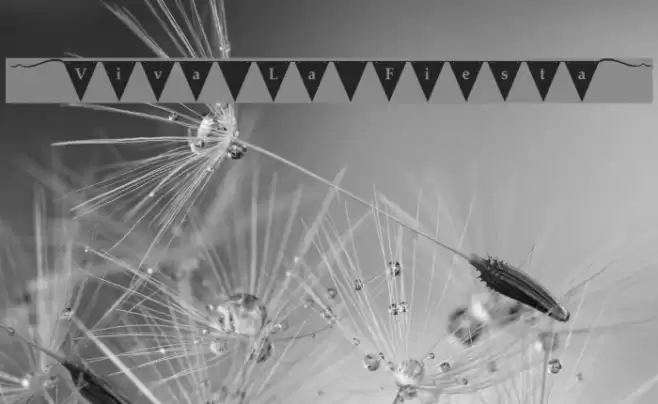 [Viva La Fiesta] Font examples