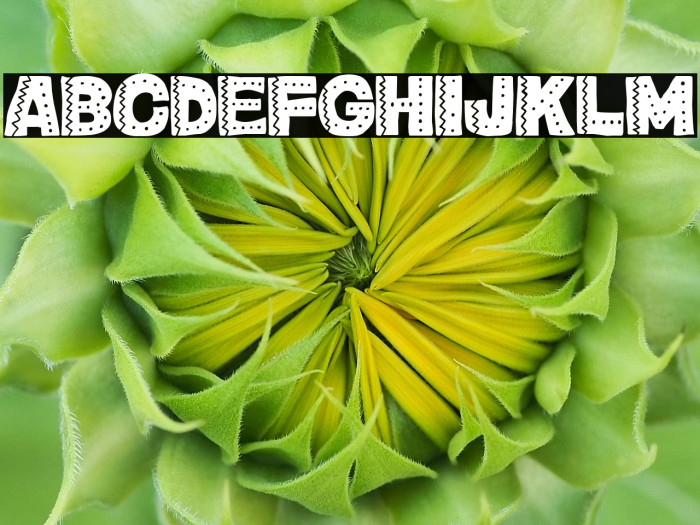 ¡Viva México, cabrones! Example 3