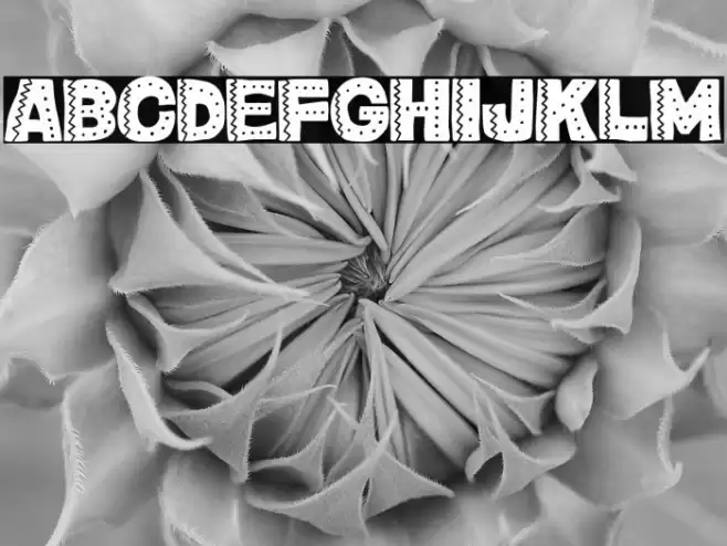 ¡Viva México, cabrones! Font examples