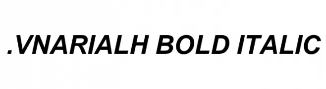 .VnArialH Bold Italic 