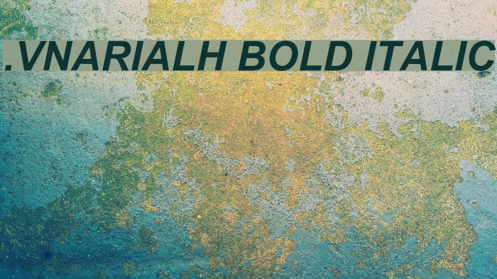 .VnArialH Bold Italic Font examples