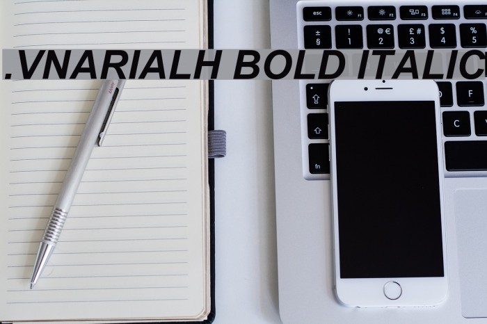 .VnArialH Bold Italic Font examples