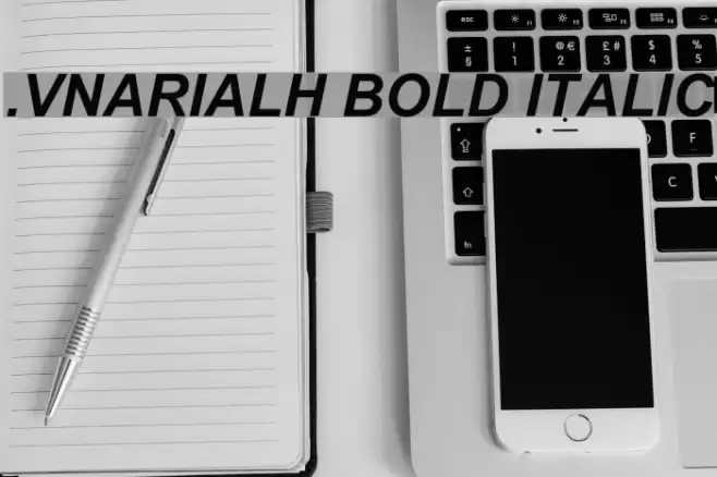 .VnArialH Bold Italic Fonte examples